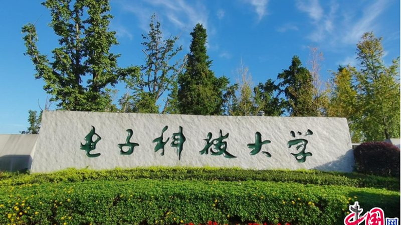 揭秘PCB线路板厂家代理报价：如何规避选购误区